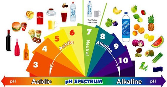 alkaline food